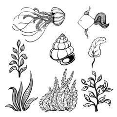 Set of black sea animals and flora isolated on white background in linear style.