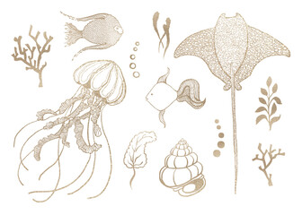 Set of golden sea animals and flora isolated on white background in linear style.