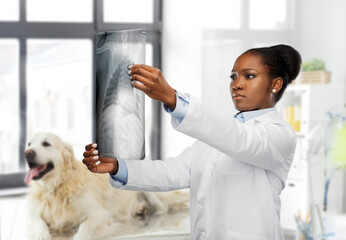 medicine, pet and healthcare concept - female veterinarian doctor looking at animal's x-ray over vet clinic office background