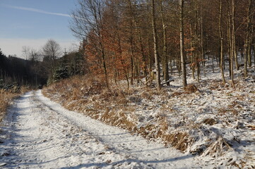 Hiking in Jeseniky Mountains, proper winter conditions