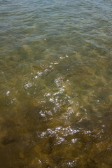 Waves and glare on the surface of the  water of the lake. Shallow. Lake. Background