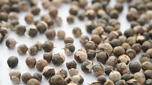 angle view herb ManJingZi or Viticis Fructus or Sinplelaef Shrub Chastetree Fruit rotating