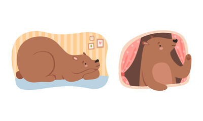 Cute Bear Sleeping and Looking Out of Window of His Cosy Burrow Vector Set