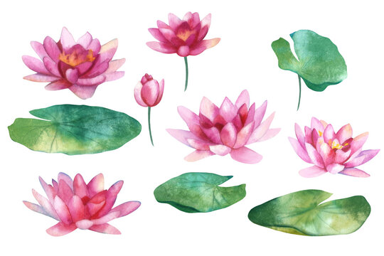 Watercolor template. Beautiful motifs for decoration design. Watercolor  waterlily clipart. Artistic backdrop. Watercolor in japanese style on soft colorful background. Watercolor illustration.