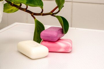 three bars of soap on the table in the bathroom with a houseplant