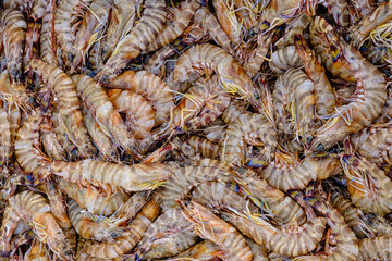 A background texture of fresh sea shrimps
