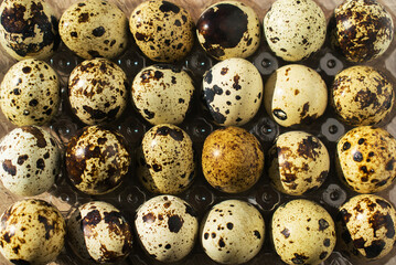 Obraz premium Quail eggs in the formwork. The health benefits of eating quail eggs.