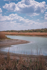 the river in the steppe