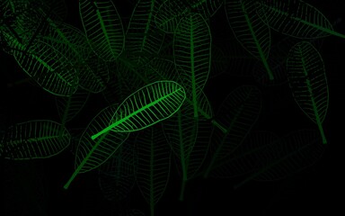 Obraz premium Dark Green vector abstract backdrop with leaves.