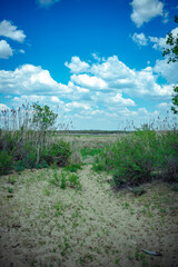 landscape with river