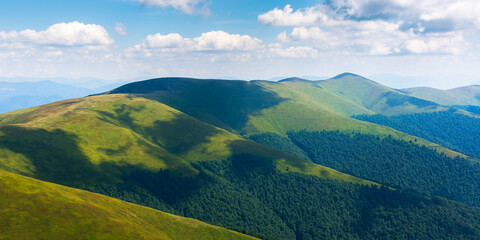 Naklejka premium summer landscape in mountains. beautiful scenery with grassy meadows and forested hill in dappled light beneath a blue sky with clouds. panoramic view of green nature environment