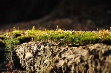 Little adventures around hometown