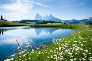 Fotobehang Dolomieten Summer mountain landscape in the Alps with rugged peaks reflecting in alpine lake