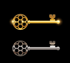 Gold and Chrome Key Vector Sign