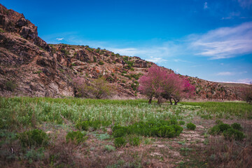 landscape in the mountains