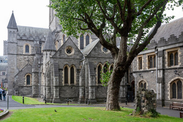 View of the Dublin's Cathedral, Ireland