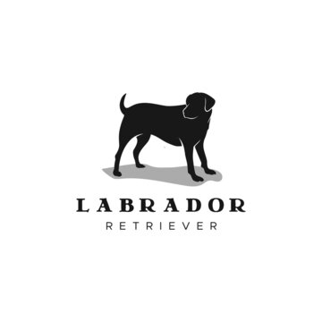 Vector black silhouette of a labrador retriever dog logo illustration in vintage style