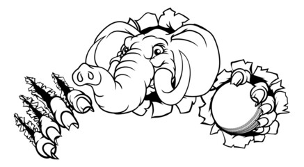 Elephant Cricket Ball Sports Animal Mascot