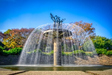 Fototapeta premium Fountain in the park in autumn