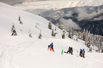 view of snow-capped mountains and trees and group of tourists skiers