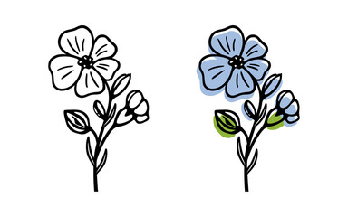 Blooming flax, single flower – hand drawn stylized vector illustration. Black and white and colored versions, isolated on white.