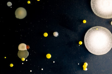 Backgrounds of Characteristics and Different shaped Colony of Bacteria and Mold growing on agar plates from Soil samples for education in Microbiology laboratory.
