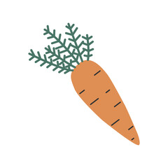 Doodle carrot with tops. Vector clipart.