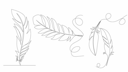 bird feather drawing by one continuous line, vector