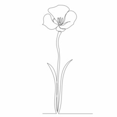 flower drawing by one continuous line