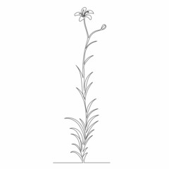 flower drawing by one continuous line, vector