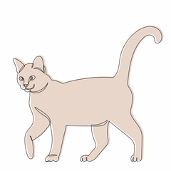 sketch brown cat, vector, isolated