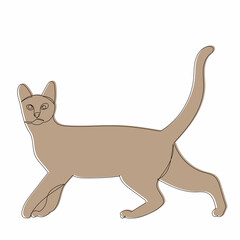 sketch brown cat, vector, isolated