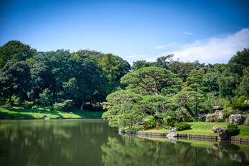 Fototapeta premium Japanese garden in the park