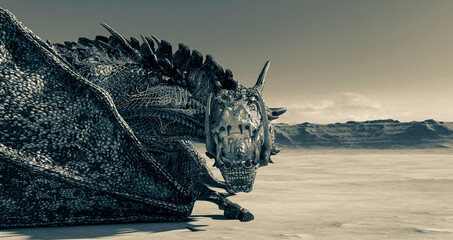 Fototapeta na wymiar dragon is resting alone on desert with copy view