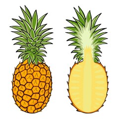 Pineapple isolated vector illustration. A set of whole and half pineapples. Juicy sweet tropical exotic fruits, healthy food