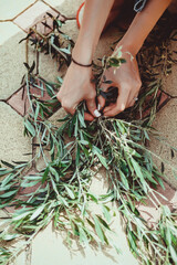 the florist collects eucalyptus branches in the composition