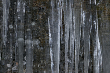 Icicle formations on the mountain rock