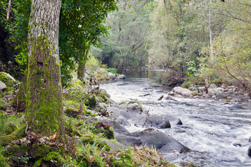 Obraz premium Rio Arenal. Avila. España. Europa.