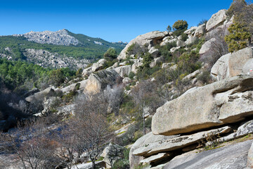 Garganta de la Camorza. Sierra de Guadarrama. Madrid. España. Europa.