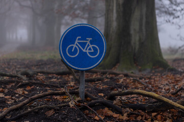 Roots around Dutch round blue bicycle sign depicting a bike in the middle of the woods with the...