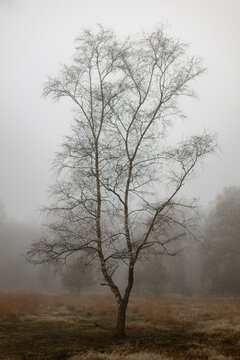 "Monotone Background" Images – Browse 274 Stock Photos, Vectors, and ...