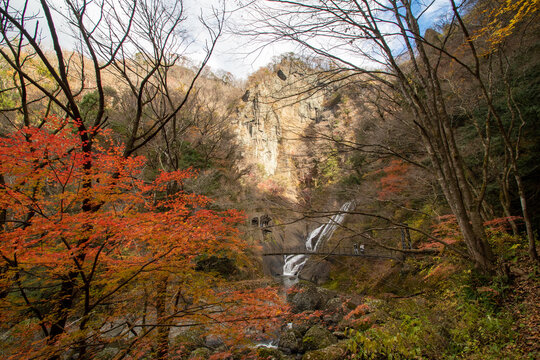紅葉と袋田の滝