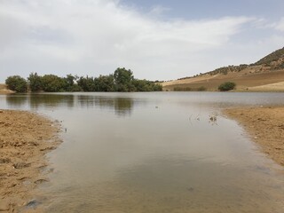 Small lake next to trees and mountains in summer