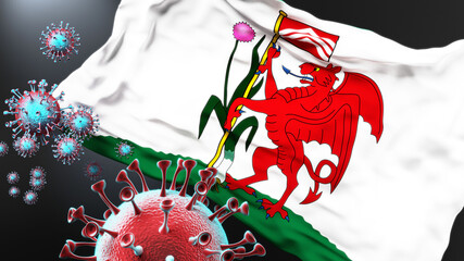 Cardiff and covid pandemic - virus attacking a city flag of Cardiff as a symbol of a fight and struggle with the virus pandemic in this city, 3d illustration