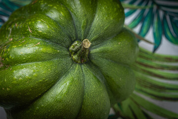 top view of a green pumpkin