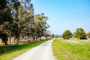 Lilydale to Warburton Rail Trail in Australia