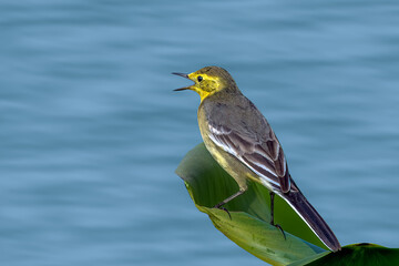 Hey look! Clean water!!!