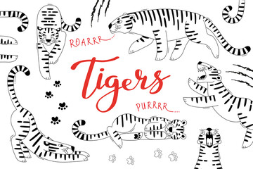 Card with cute tigers, paw prints and scratches. Tiger is the Zodiac Symbol of the 2022 New Year - 472421090