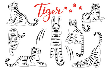 Tigers Clipart Set. Tiger Zodiac Symbols New Year 2022. Vector illustration