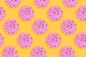 Aster flowers head on a yellow background. Springtime repetitive pattern.